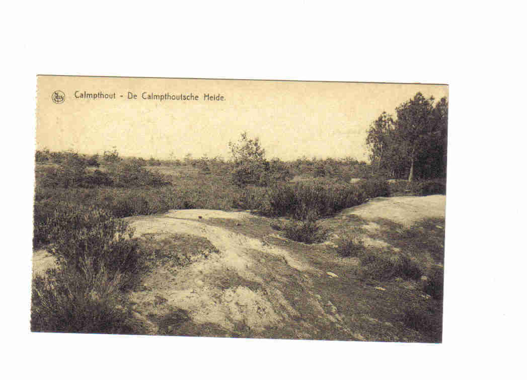 Calmpthout -de Calmpthoutsche Heide - Kalmthout