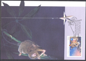 Australia 1990 Maxi Card - Bush Nativity - Maximumkaarten