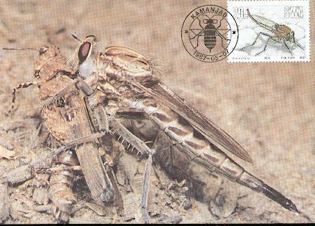 NAMIBIE CARTE MAXIMUM NUM.YVERT 563 INSECTES UTILES - Namibia (1990- ...)