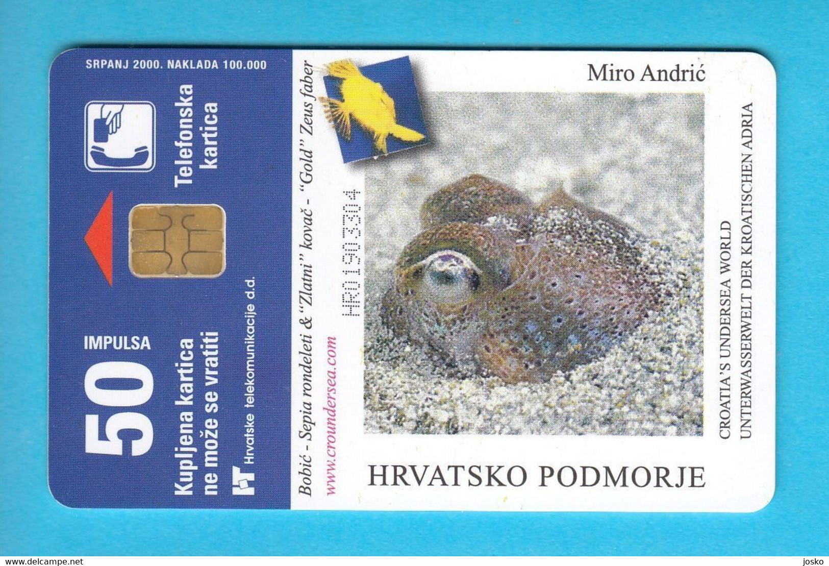 MUSKY OCTOPUS (Eledone Moschata) - Croatia Old Rare Card * Undersea Poulpe Sépia Oktopus Seepolyp Tintenfisch Pulpo - Croazia