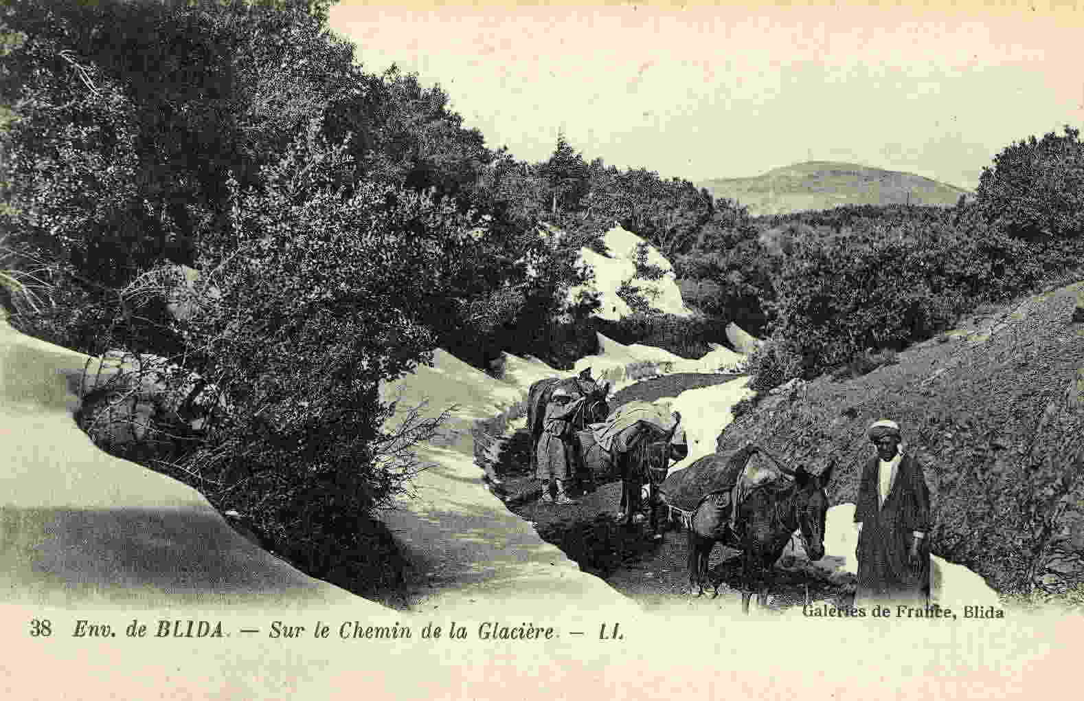 BLIDA - Sue Le Chemin De La Glacière - Blida