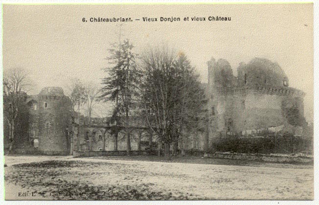 44 - CHATEAUBRIANT  - Vieux Donjon Et Vieux Château - Châteaubriant