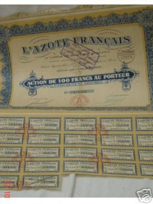 ACTION DE 100 FRANCS AU PORTEUR - L´AZOTE FRANCAIS - Electricité & Gaz