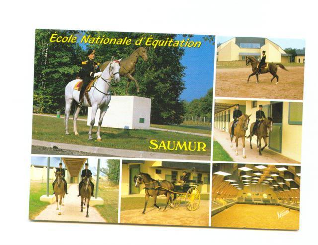 Cpm Ecole Nationale D Equitation Saumur - Reitsport