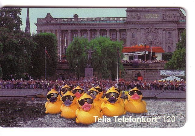 Sweden - Suede - Bird - Oiseau - Birds - Oiseaiux - Duck - Cane - Canard - Stockholm Water Festival - Card Old Issue - Zweden