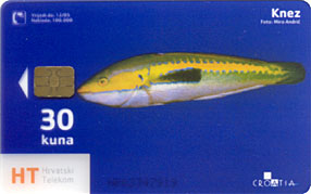 TRANSPARENT Card KNEZ ( Croatia ) - Undersea - Underwater - Fish - Poisson - Fisch - Pez - Pesci ( Transparente Card ) - Croatia