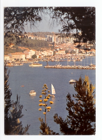 Saint Mandrier Sur Mer: Le Port (05-5119) - Saint-Mandrier-sur-Mer