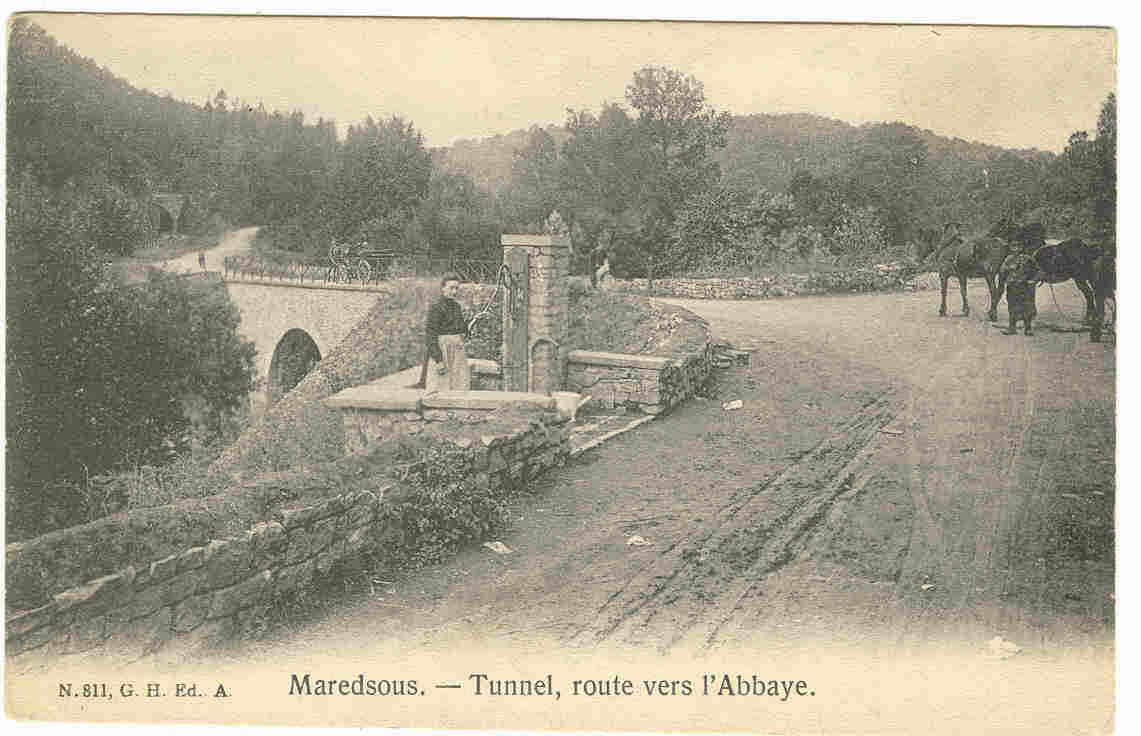 MAREDSOUS - TUNNEL  ROUTE VERS L'ABBAYE - Anhee
