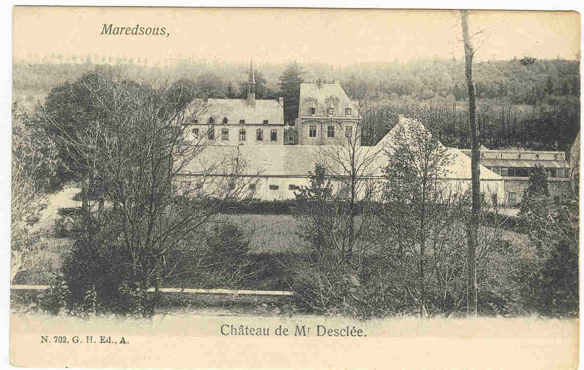 MAREDSOUS - CHATEAU DE MR DESCLEE - Anhée