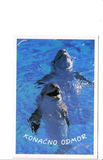 Undersea - Dolphin - Delphin -delfin– Delphine - Dauphin – Delfino – Dauphins - Dolphins  -Croatia Beautifull Postcard - Dauphins