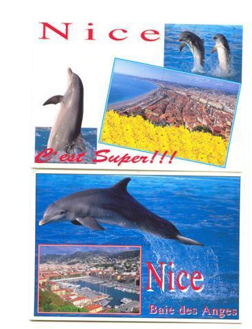 Lot 2 Cpm Dauphin ( Dolphin ) Nice - Dolfijnen