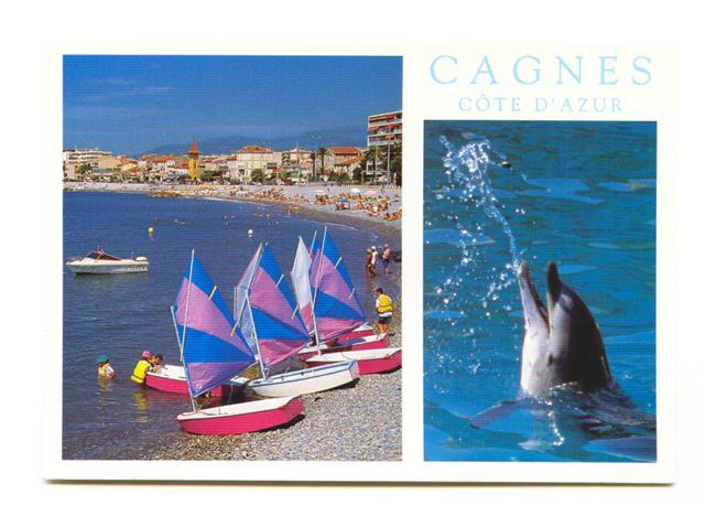 Cpm Dauphin ( Dolphin ) Cannes - Delfines