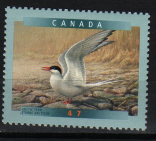 CANADA 2001 Timbre Neuf SG2059 - Gaviotas