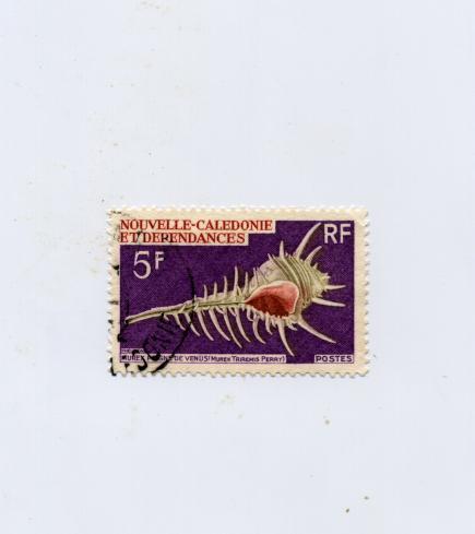 Nouvelle Calédonie N°359 Oblitéré Murex Peigne De Vénus - Conchiglie