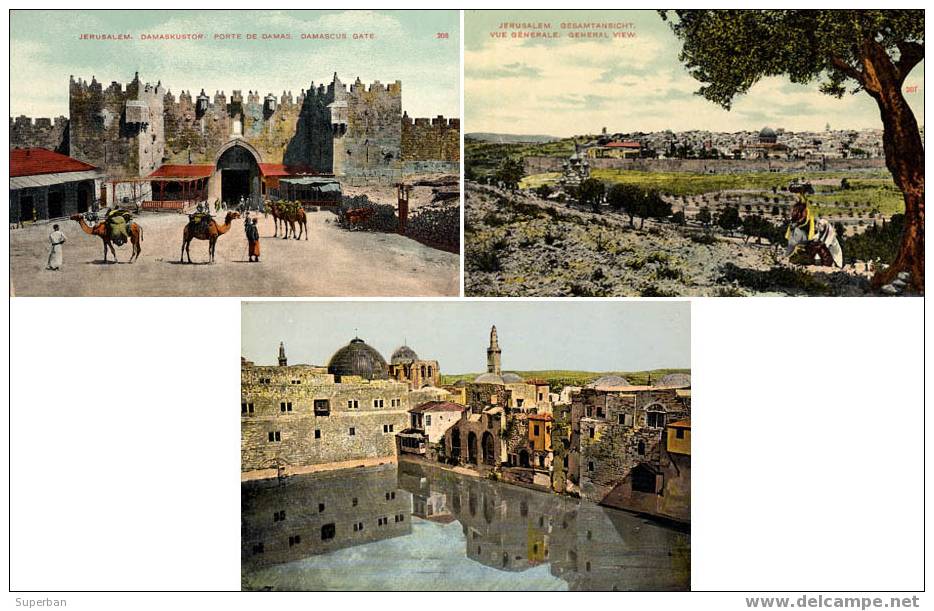 PALESTINE : JERUSALEM - LOT De 3 CARTES POSTALES : PISCINE D´EZECHIAS; PORTE DE DAMAS; VUE GÉNÉRALE (x-564) - Palästina