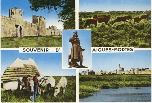 Aigues Mortes - Aigues-Mortes