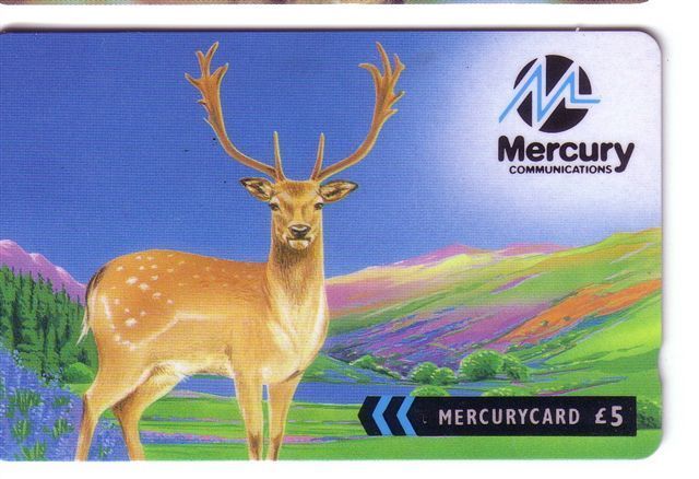 DEER ( England Mercury Card ) *** Daim - Cerf - Buck - Hirsch - Ciervo - Cervo - Hert - Deers - Daims - Bucks * - Jungle