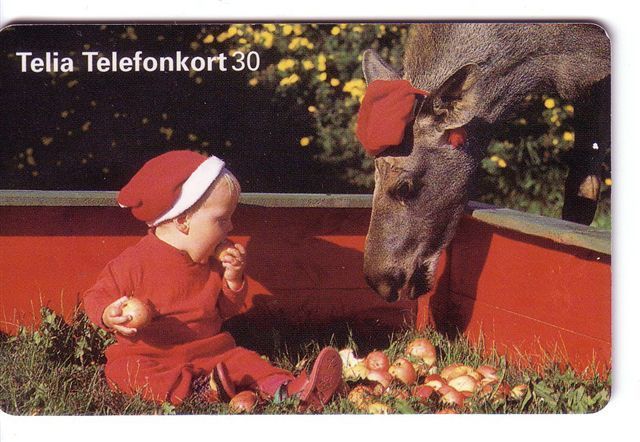 Animals – Bete – Animal – Tier – Tiere – Animaux - Animale – Fauna – Faune - Child - Enfant - Enfants - Sweden - Zweden