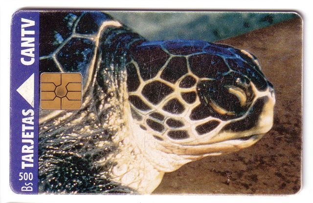 Sea Turtle – Tortoise – Tortuga Marina – Schildkroete – Tartaruga – Tortue – Turtles -Venezuela (see Scan For Condition) - Tartarughe