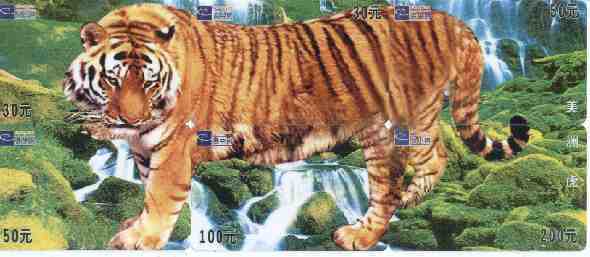 Tiger – Tigre – Tigresse – Tigers -  Jungle - Fauna – Wild Animals – Faune – Watterfall - Falls  - PUZZLE Of 6.cards - Jungle