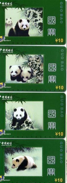 Animals – Fauna - Faune - Bear – Grizzly – Baer – Oso – Ours – Orso - Panda -  Set Of 4.cards - Jungle