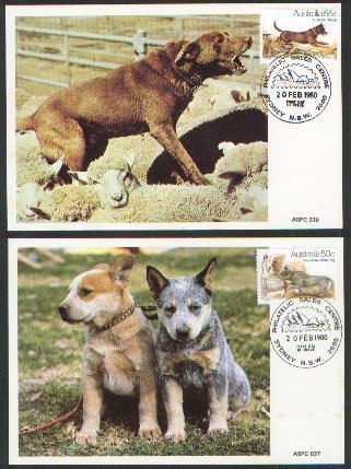 Australia - Dogs Maxicards. Sheep, Aboriginal Child, Opera House - Maximumkaarten