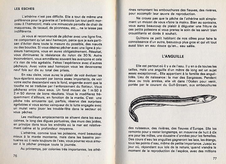 CONNAITRE ET REUSSIR LA PECHE EN BORD DE MER  -  1981  -  214 PAGES  -  QUELQUES PHOTOS ET CROQUIS - Fischen + Jagen