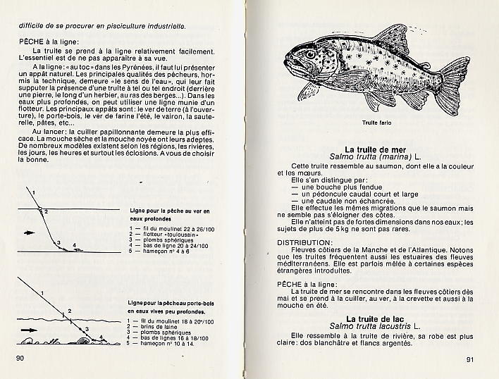 CONNAITRE ET PECHER LES POISSONS D EAU DOUCE  -  1983  -  221 PAGES  -  NOMBREUSES PHOTOS ET CROQUIS - Fischen + Jagen