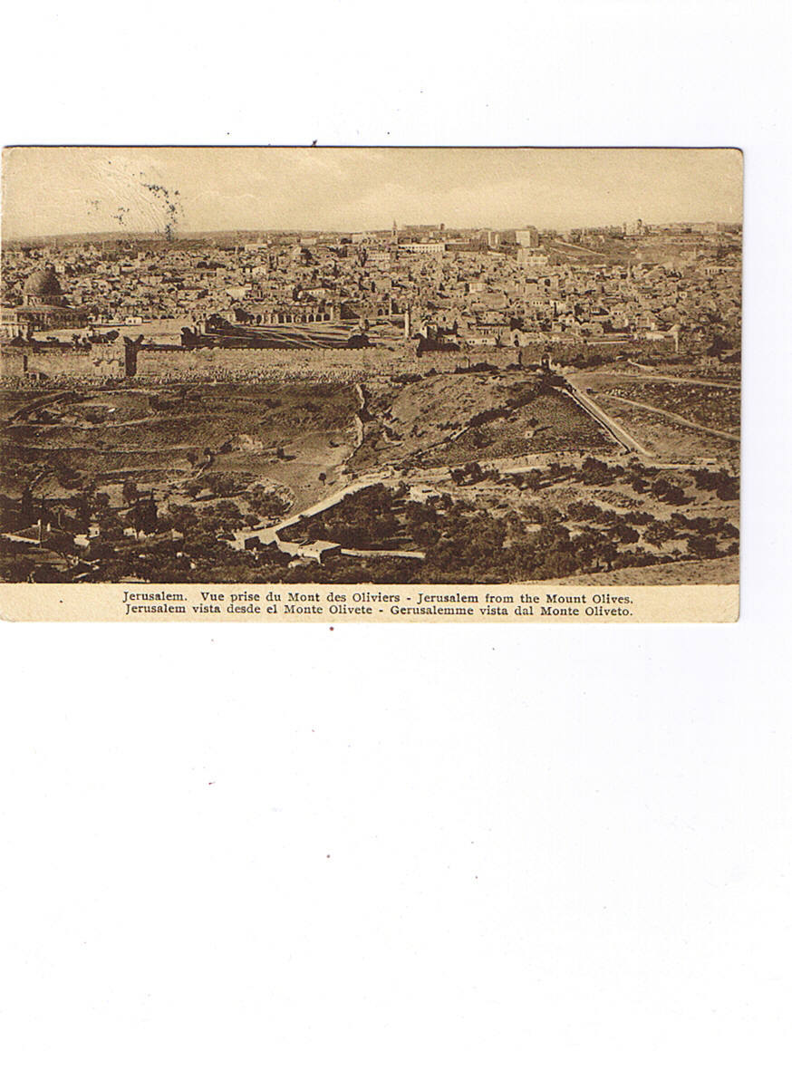 JERUSALEM   Vue Prise Du Mont Des Oliviers Carte Circulée - Palestine