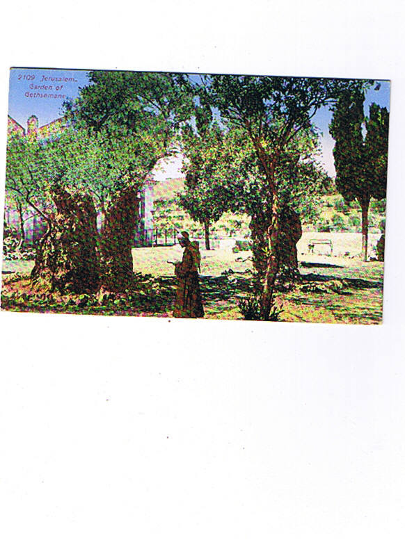 JERUSALEM   Jardin De Gethsemanie  Carte Circulée - Palestine