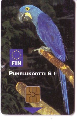 PARROTS - Finland Old Rare Card Parrot Perroquet Papagei Papageien Perroquets Pappagallo Papagaio Loro Pappagalli Loros - Papegaaien & Parkieten