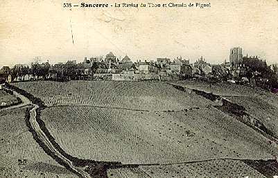538 - Sancerre - La Ravine De Thou Et Chemin De Pignol - Sancerre