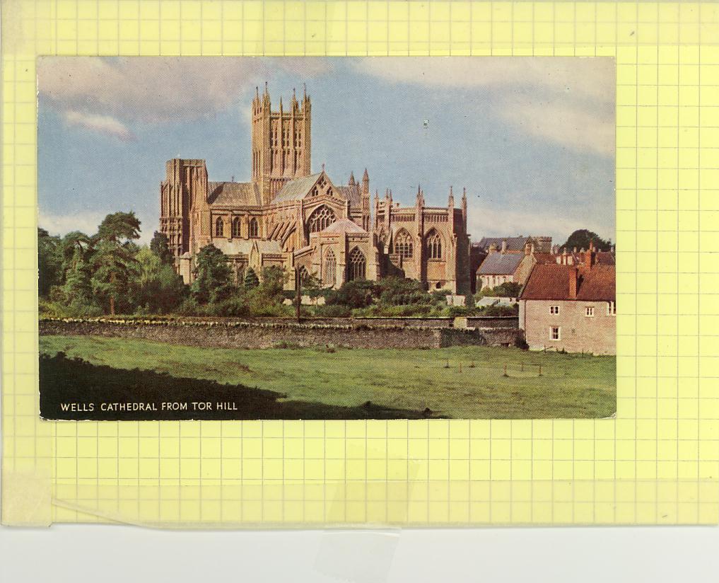 Angleterre - Wells Cathedral From The Hill - CPM Couleur 1990 - Ed J. Salmon N° 1-53-03-07 - Wells