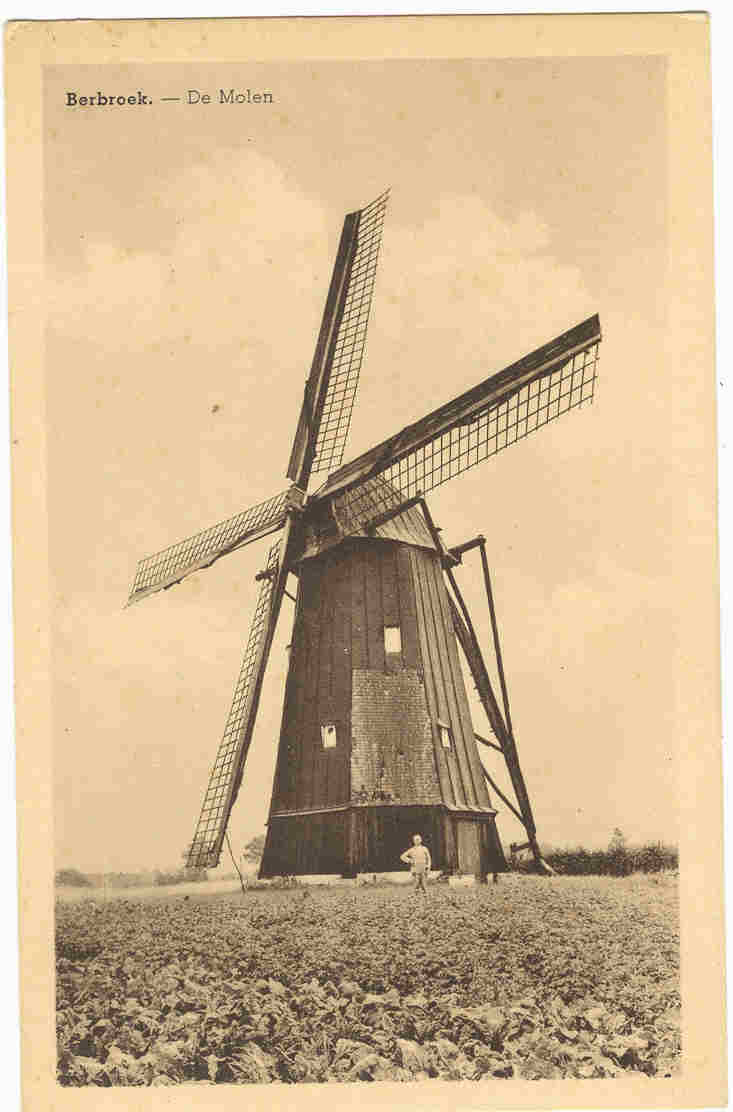 BERBROEK - DE MOLEN - Herk-de-Stad