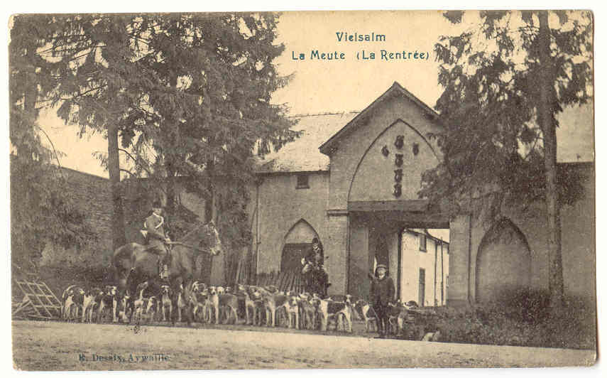 4763  - VIELSALM  -  La Meute   (La Rentrée) - Vielsalm