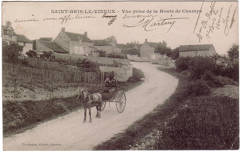 SAINT-BRIS-LE-VINEUX(89) / Vue Prise De La Route De Champs / Attelage / Petite Animation / D 3395 - Saint Bris Le Vineux