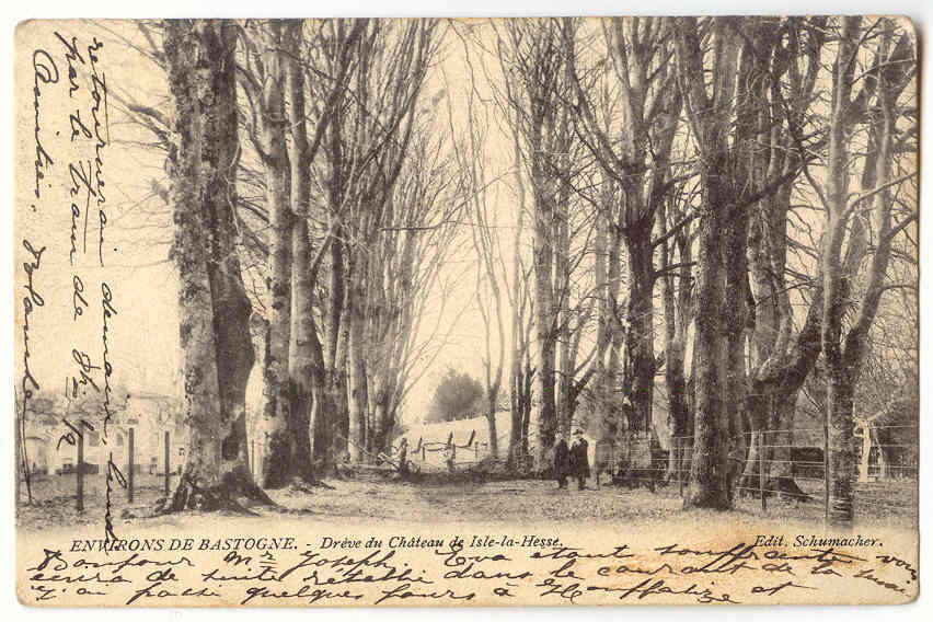 4818 - Environs De BASTOGNE  -  Drève Du Château De ISLE-LA-HESSE - Bastogne