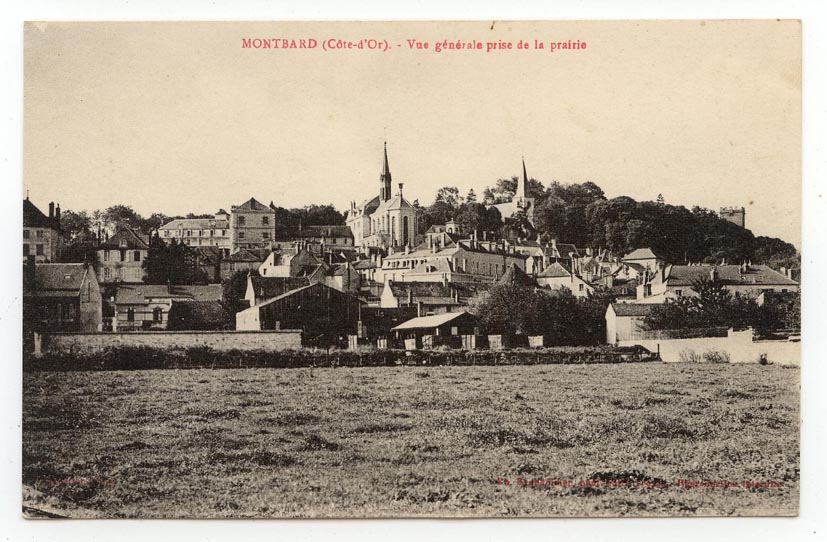 Montbard - Vue Générale Prise De La Prairie - Montbard