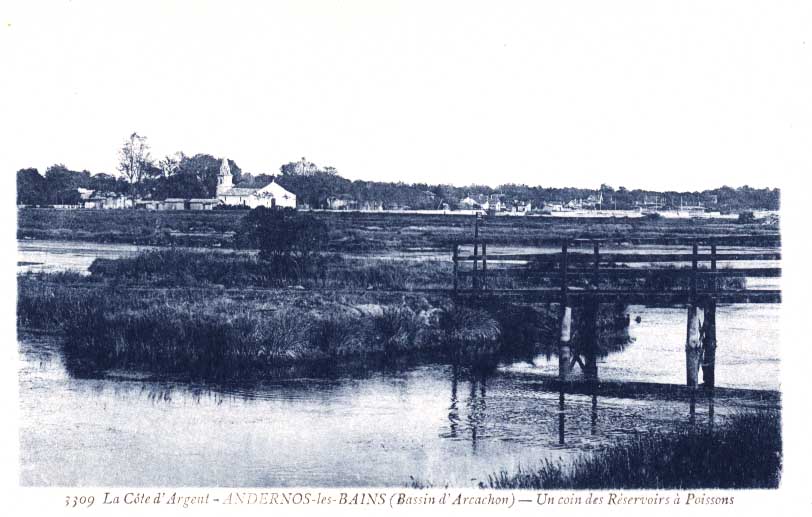 Cpa Andernos Les Bains , Bassin D´Arcachon (33, Gironde) Un Coin Des Réservoirs à Poissons - Andernos-les-Bains