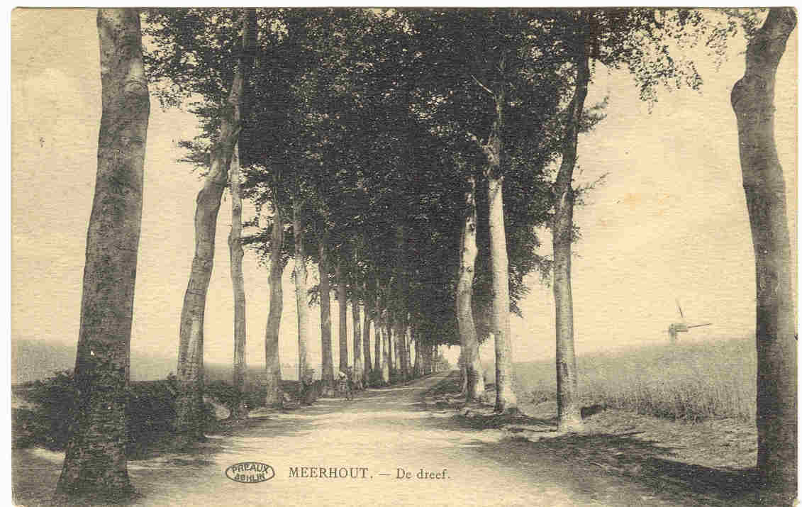 MEERHOUT  -   DE DREEF - Meerhout