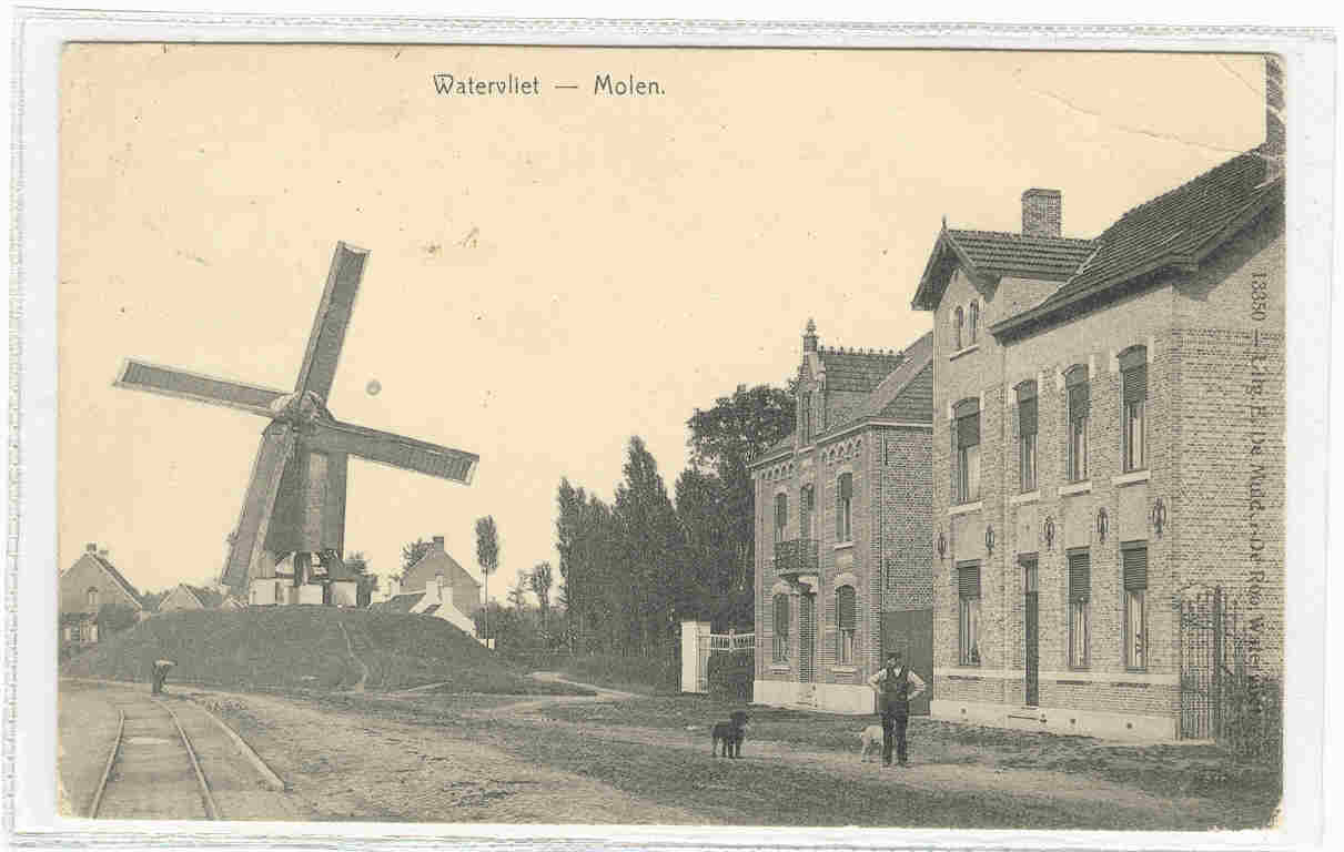 WATERVLIET - MOLEN - Sint-Laureins