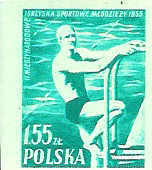 NATATION TIMBRE NEUF NON DENTELE PLONGEON POLOGNE 1955 - Natation