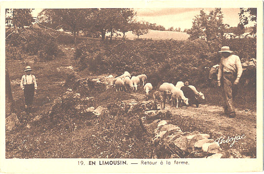 19 - 23 - 87 - SERIE En LIMOUSIN - BELLE SCENE De La VIE RURALE - BERGER Avec Ses MOUTONS - Boerderijen