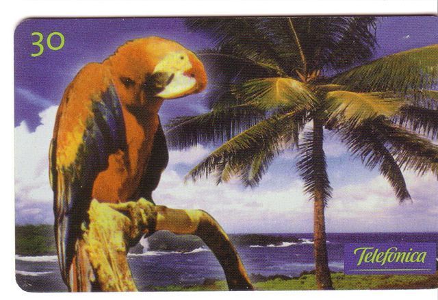 PARROTS - Brazil Old Rare Card * Parrot Perroquet Papagei Papageien Perroquets Pappagallo Papagaio Loro Pappagalli Loros - Brazil