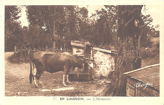 19 - 23 - 87 - SERIE En LIMOUSIN - BELLE SCENE - VACHE à L'ABREUVOIR Avec Son MAITRE - Bauernhöfe