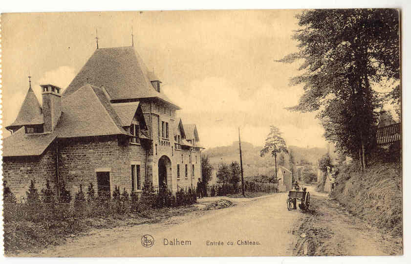 5149 - Dalhem - Entrée Du Château - Dalhem