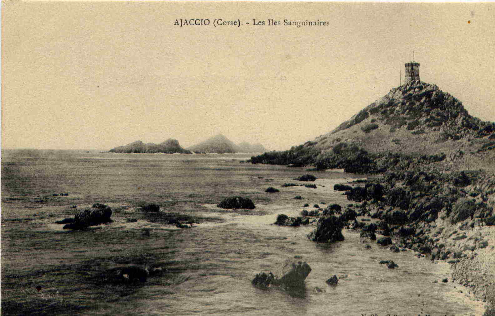 * Ajaccio ( Corse ) Les Iles Sanguinaires - Corse