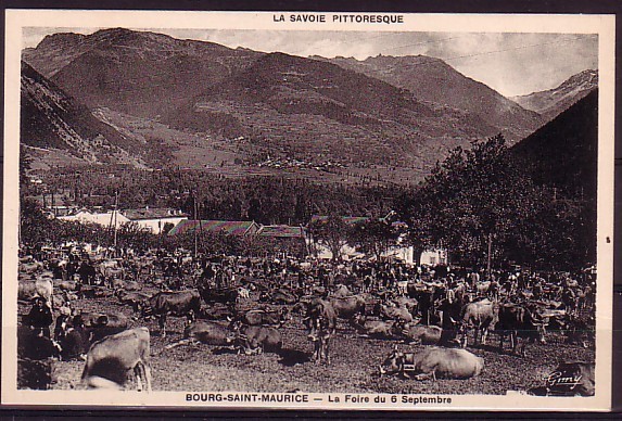 SAVOIE - Bourg St Maurice - La Foire Du 6 Septembre - Bourg Saint Maurice