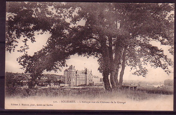 SARTHE - Solesmes - L'abbaye Vue Du Chateau De La Grange - Solesmes