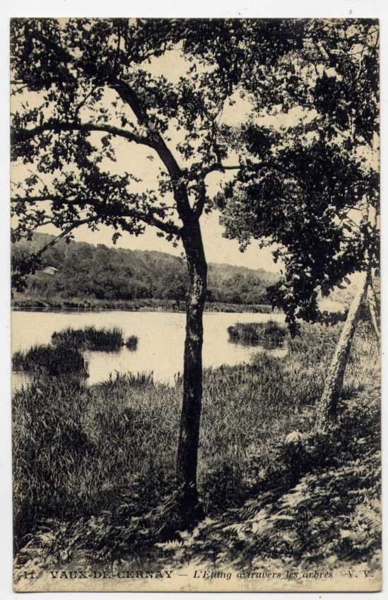 Réf 67  - VAUX DE CERNAY  - L'étang à Travers Les Arbres (1927) - Vaux De Cernay